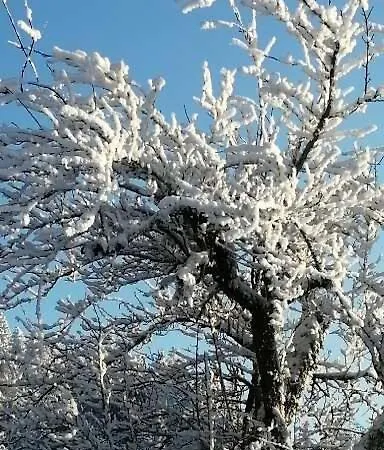 Val Du Rio Le Chambon-sur-Lignon
