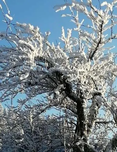 Val Du Rio Le Chambon-sur-Lignon